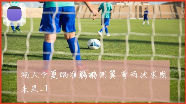 湖人今夏瞄准鹈鹕侧翼 曾两次求购未果_1